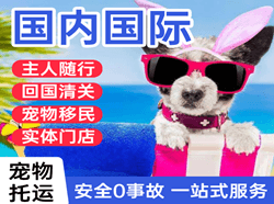 玉林福绵机场快递国际宠物托运 【国
